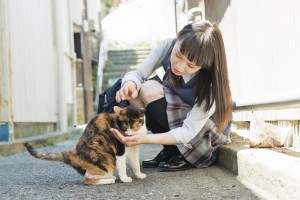 猫がなつかない5つの理由 猫と仲よくなるためのコツもご紹介 みんなのペットライフ