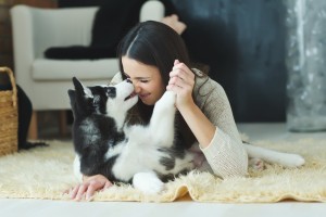 犬が甘える気持ちやしぐさ5選 飼い主を信頼してくっついてくる行動心理とは みんなのペットライフ