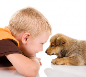 子どものいる家で犬を飼いたい 子どもと相性がいい犬は 注意点はあるの みんなのペットライフ
