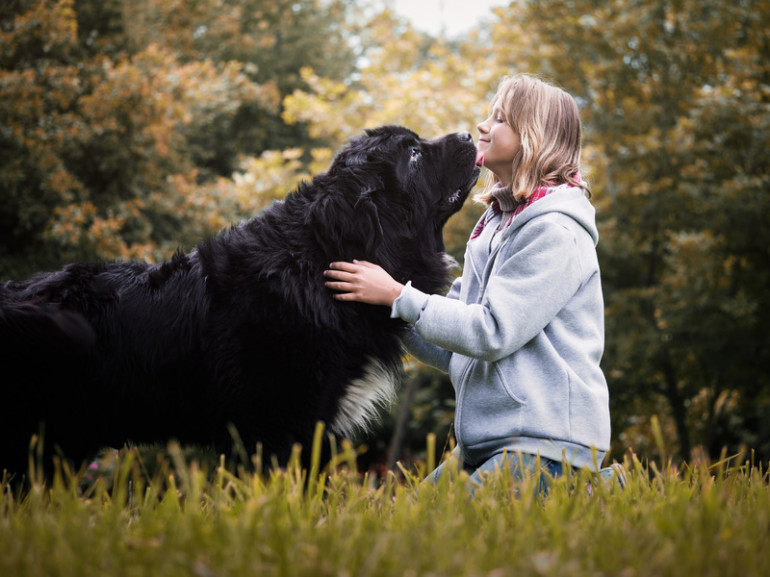 犬が飛びつくのはなぜ 犬が飛びついてくる理由と しつけの方法 みんなのペットライフ