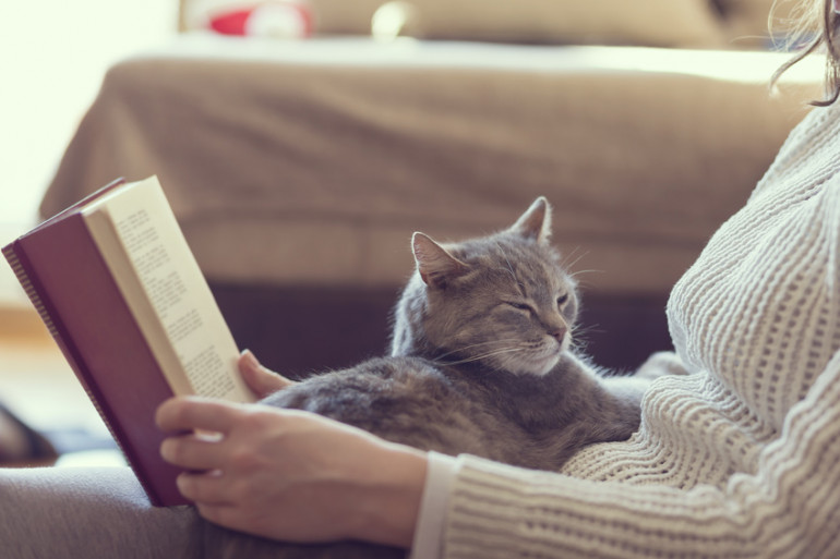 一人暮らしでも猫を飼いたい 費用から注意点 部屋づくりのポイントについて みんなのペットライフ