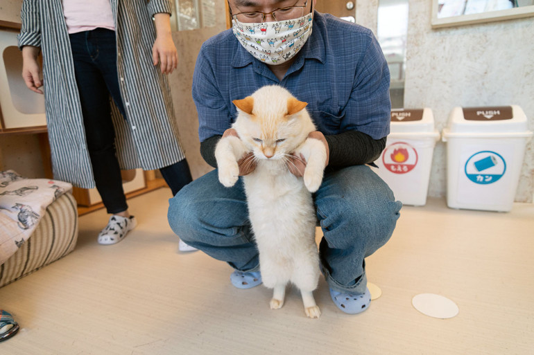 遊びに行くだけで猫助けに！ 保護猫シェルター「おうちにおいで。」を 