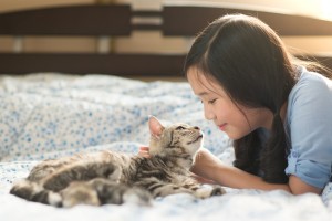 猫を飼うと腰痛が治って生活習慣病を予防できる 猫がもたらす驚きの健康効果 みんなのペットライフ