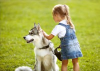 犬の耳から気持ちが読み取れる 犬の耳の種類と感情について解説 みんなのペットライフ