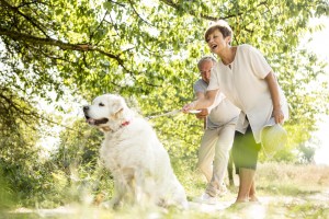 犬も仮病を使うの 犬が仮病を使う理由や見分け方 対処法をご紹介 みんなのペットライフ