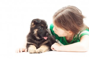 獣医師執筆 子犬のしゃっくりが止まらない 原因と対処法について みんなのペットライフ